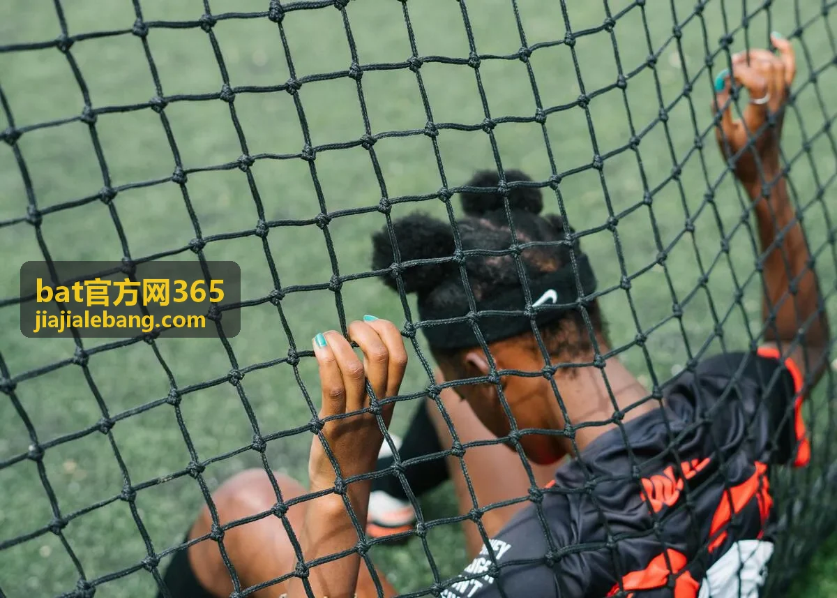 bat官方网365 办理进度查询页面